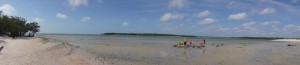 DSC00212 (1)